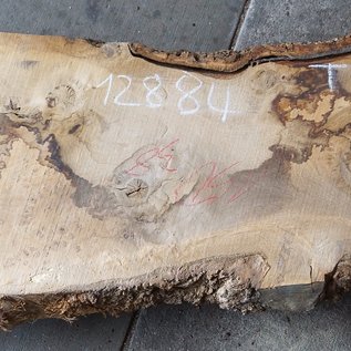 Oak Burl board, approx. 1500 x 380 x 52 mm, 12884