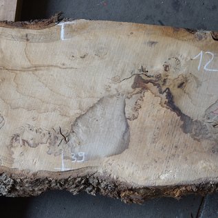 Oak Burl board, approx. 1500 x 380 x 52 mm, 12884