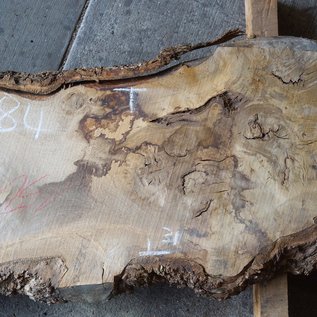 Oak Burl board, approx. 1500 x 380 x 52 mm, 12884