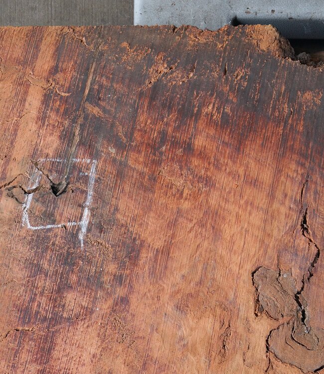 Eukalyptus Maser Tischplatte, ca. 1250 x 1180/720 x 52 mm, 12870