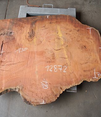 Eucalyptus Burl Table top, approx. 1300 x 1200/700 x 52 mm, 12872