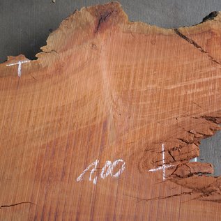 Eucalyptus Burl Table top, approx. 1400/1000 x 950/740 x 52 mm, 12873