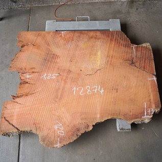 Eucalyptus Burl Table top, approx. 1250 x 1200/730 x 52 mm, 12874