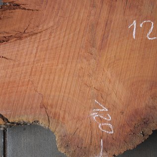 Eucalyptus Burl Table top, approx. 1250 x 1200/730 x 52 mm, 12874