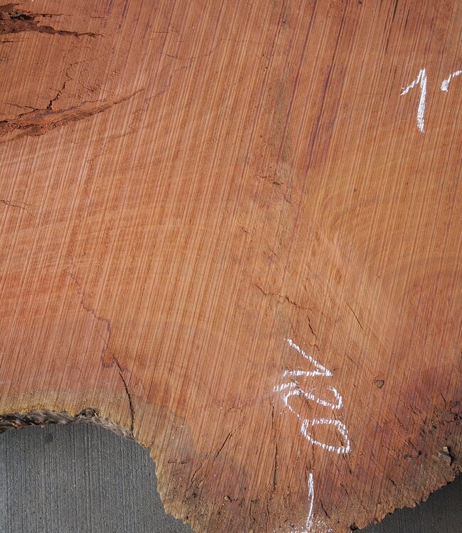 Eukalyptus Maser Tischplatte, ca. 1250 x 1200/730 x 52 mm, 12874