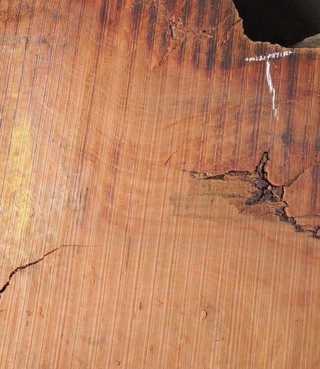 Eukalyptus Maser Tischplatte, ca. 1250 x 1200/730 x 52 mm, 12874