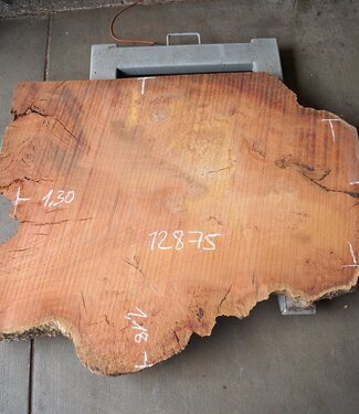 Eucalyptus Burl Table top, approx. 1300 x 1180/610 x 52 mm, 12875