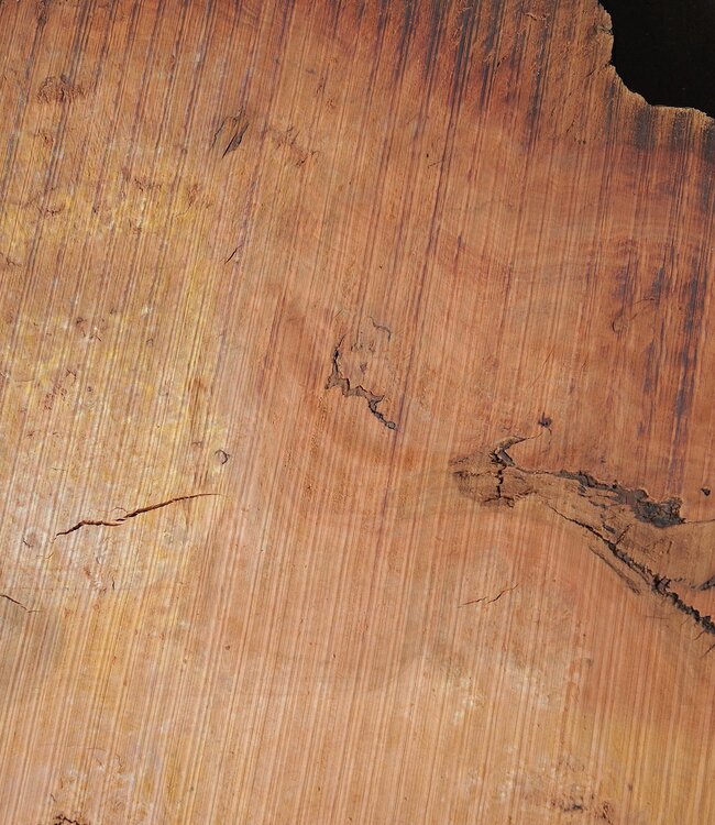 Eukalyptus Maser Tischplatte, ca. 1300 x 1180/610 x 52 mm, 12875