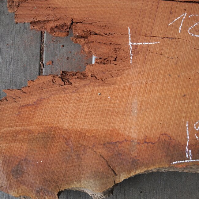 Eucalyptus Burl Table top, approx. 1400/860 x 940 x 52 mm, 12877
