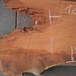 Eucalyptus Burl Table top, approx. 1400/860 x 940 x 52 mm, 12877