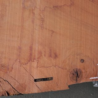 Eucalyptus Burl Table top, approx. 1280 x 800/370 x 52 mm, 12878