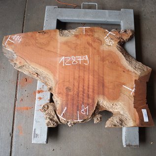 Eucalyptus Burl Table top, approx. 1140 x 810/830 x 52 mm, 12879