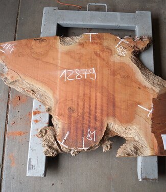 Eucalyptus Burl Table top, approx. 1140 x 810/830 x 52 mm, 12879