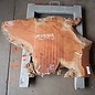 Eucalyptus Burl Table top, approx. 1140 x 810/830 x 52 mm, 12879