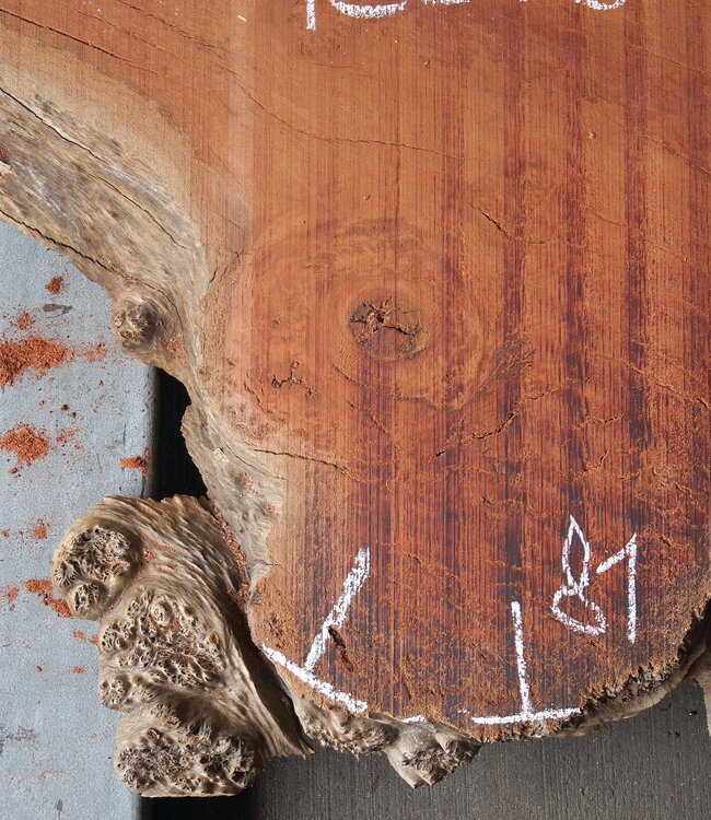 Eukalyptus Maser Tischplatte, ca. 1140 x 810/830 x 52 mm, 12879