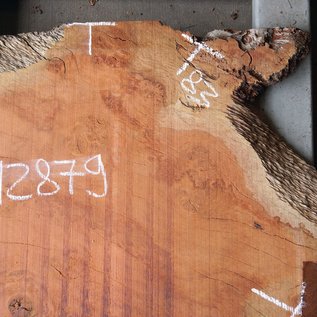 Eucalyptus Burl Table top, approx. 1140 x 810/830 x 52 mm, 12879