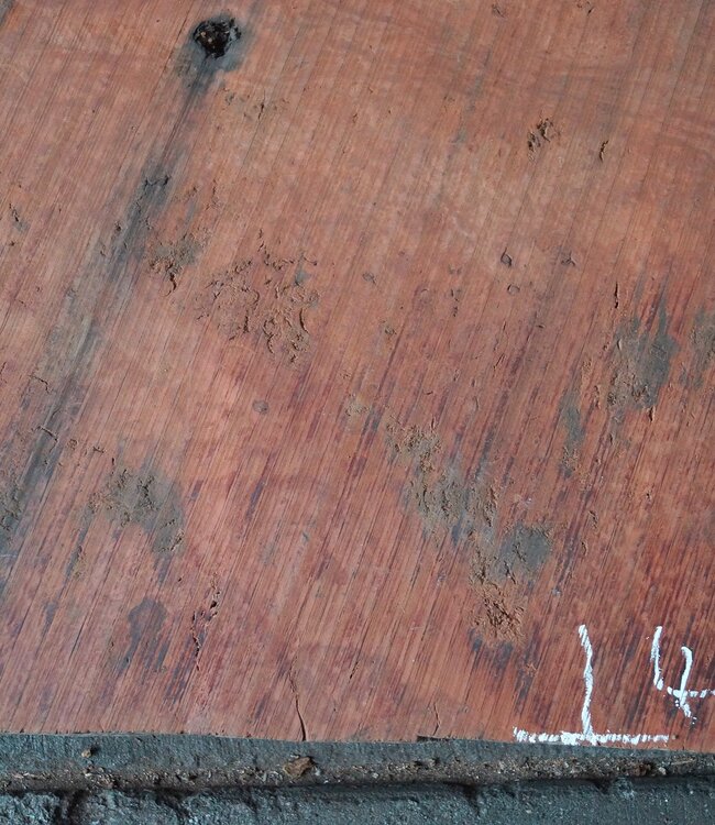 Eukalyptus Maser Tischplatte, ca. 2 x 1300 x 480 x 52 mm, 12893a+b