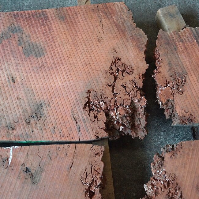 Eucalyptus Burl Table top, approx. 2 x 1300 x 480 x 52 mm, 12893a+b