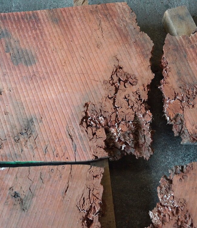 Eukalyptus Maser Tischplatte, ca. 2 x 1300 x 480 x 52 mm, 12893a+b