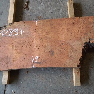 Eukalyptus Maser Tischplatte, ca. 1300 x 490 x 52 mm, 12894