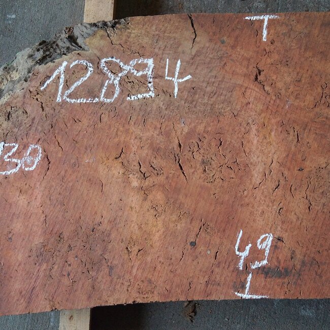 Eukalyptus Maser Tischplatte, ca. 1300 x 490 x 52 mm, 12894