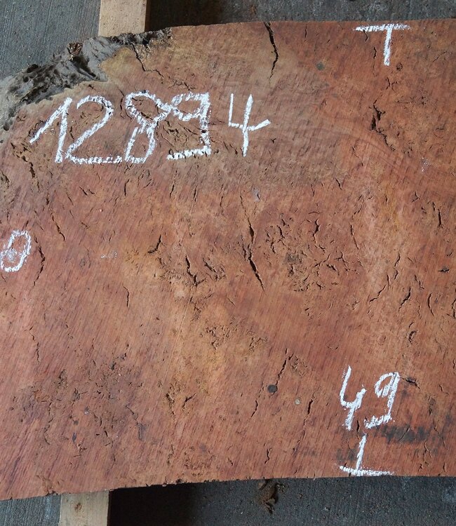 Eukalyptus Maser Tischplatte, ca. 1300 x 490 x 52 mm, 12894