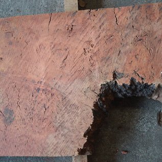 Eucalyptus Burl Table top, approx. 1300 x 490 x 52 mm, 12894