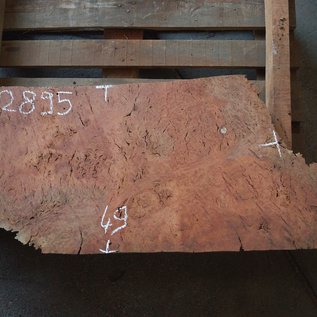 Eucalyptus Burl Table top, approx. 1000(1300) x 490 x 52 mm, 12895