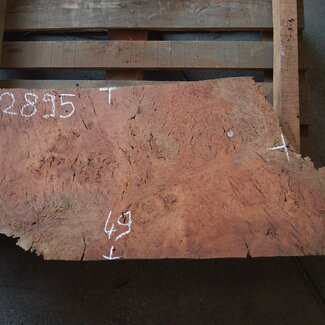 Eukalyptus Maser Tischplatte, ca. 1000(1300) x 490 x 52 mm, 12895