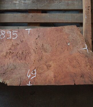Eukalyptus Maser Tischplatte, ca. 1000(1300) x 490 x 52 mm, 12895