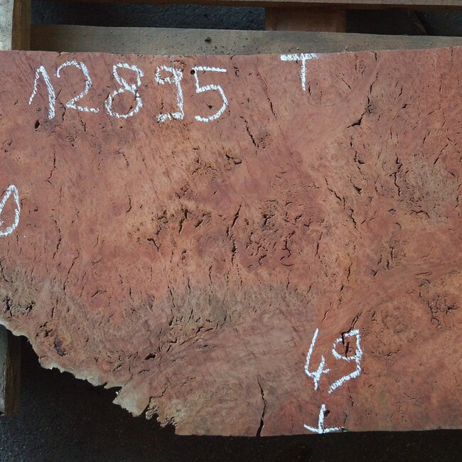 Eukalyptus Maser Tischplatte, ca. 1000(1300) x 490 x 52 mm, 12895