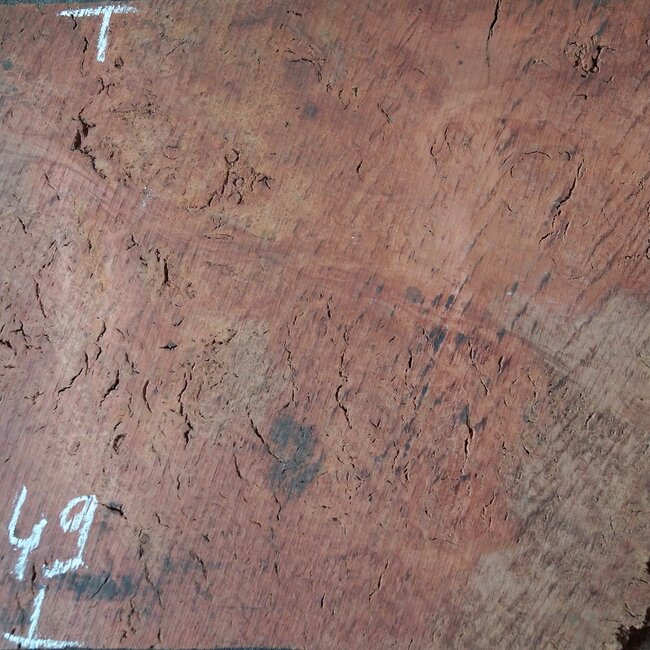 Eucalyptus Burl Table top, approx. 1300 x 490 x 52 mm, 12894