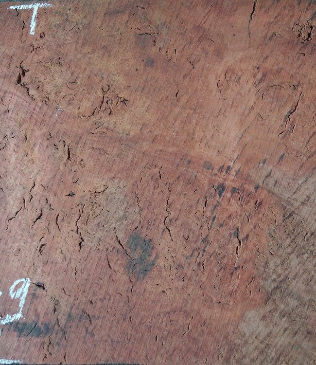 Eukalyptus Maser Tischplatte, ca. 1300 x 490 x 52 mm, 12894