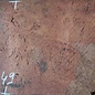Eucalyptus Burl Table top, approx. 1300 x 490 x 52 mm, 12894