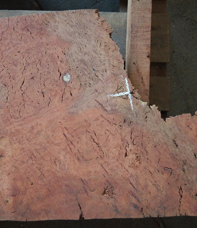 Eukalyptus Maser Tischplatte, ca. 1000(1300) x 490 x 52 mm, 12895