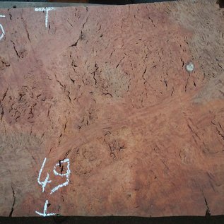 Eucalyptus Burl Table top, approx. 1000(1300) x 490 x 52 mm, 12895