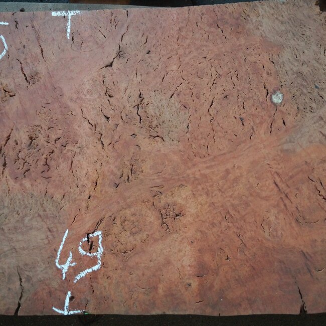 Eucalyptus Burl Table top, approx. 1000(1300) x 490 x 52 mm, 12895