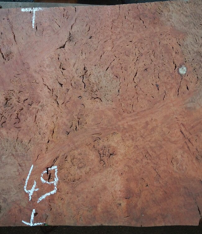 Eukalyptus Maser Tischplatte, ca. 1000(1300) x 490 x 52 mm, 12895