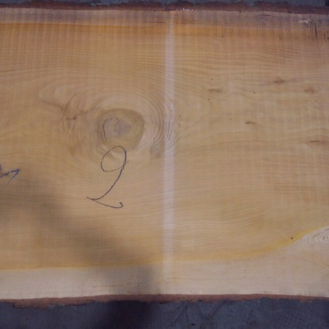 Libanon Zeder Tischplatte, ca. 3100 x 810(920) x 80 mm, 12816