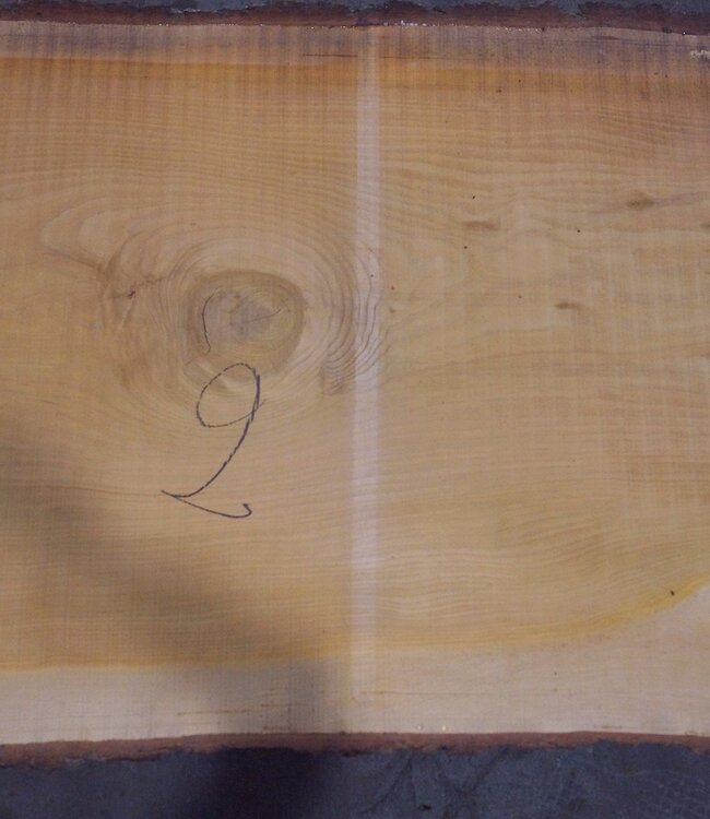 Libanon Zeder Tischplatte, ca. 3100 x 810(920) x 80 mm, 12816