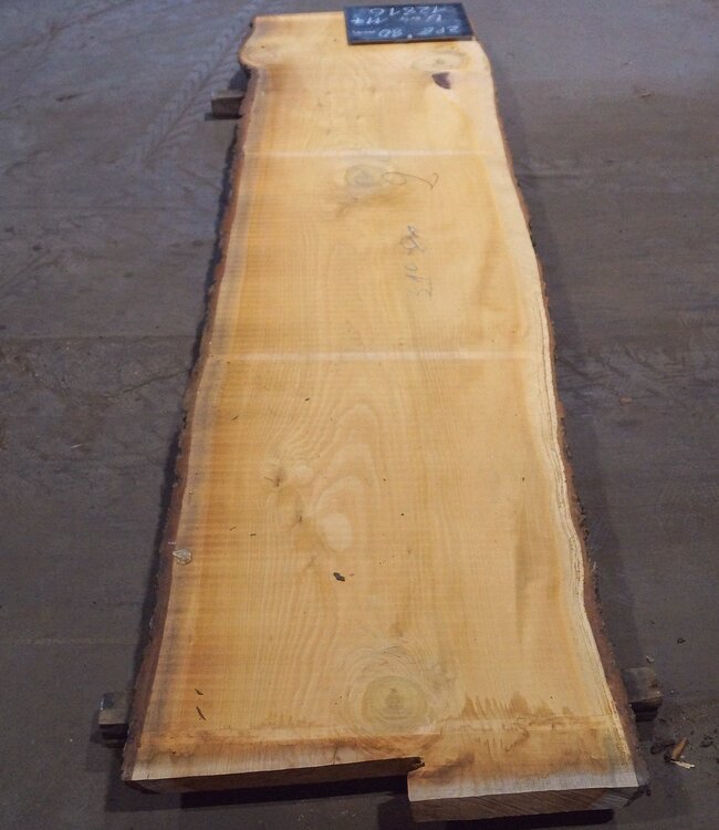 Libanon Zeder Tischplatte, ca. 3100 x 810(920) x 80 mm, 12816