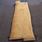 Lebanon Cedar, table top, approx. 3100 x 810(920) x 80 mm, 12816