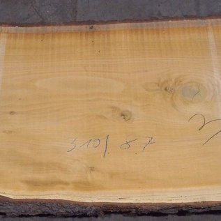 Lebanon Cedar, table top, approx. 3100 x 870(980) x 80 mm, 12817