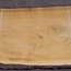 Lebanon Cedar, table top, approx. 3100 x 870(980) x 80 mm, 12817