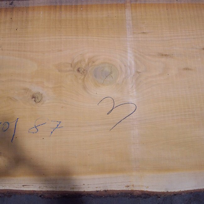Lebanon Cedar, table top, approx. 3100 x 870(980) x 80 mm, 12817