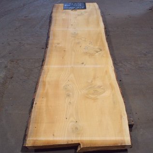 Lebanon Cedar, table top, approx. 3100 x 900(1010) x 80 mm, 12818