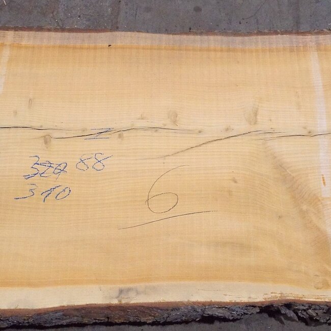 Libanon Zeder Tischplatte, ca. 3100 x 880(1060) x 80 mm, 12820