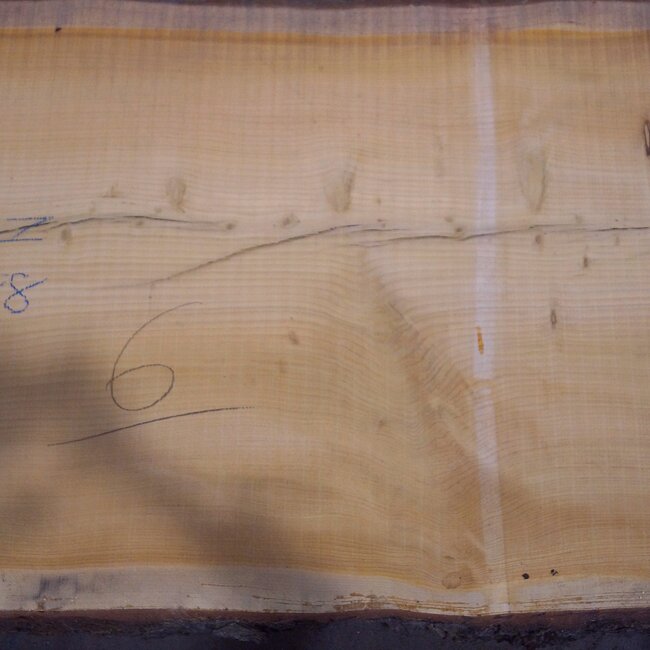 Libanon Zeder Tischplatte, ca. 3100 x 880(1060) x 80 mm, 12820