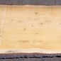 Lebanon Cedar, table top, approx. 3200 x 880(1020) x 80 mm, 12821