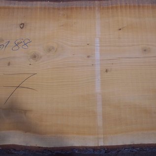 Lebanon Cedar, table top, approx. 3200 x 880(1020) x 80 mm, 12821